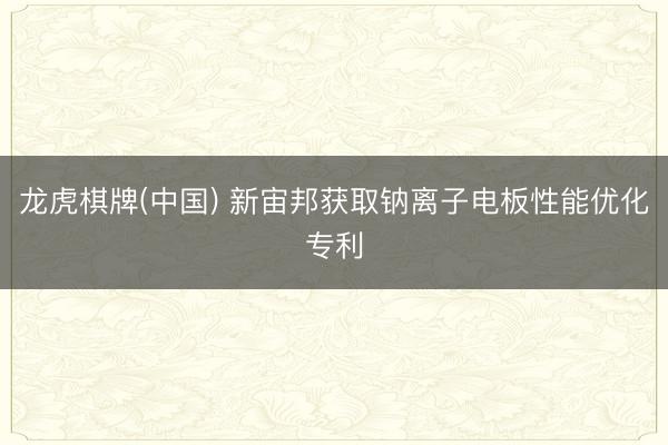 龙虎棋牌(中国) 新宙邦获取钠离子电板性能优化专利