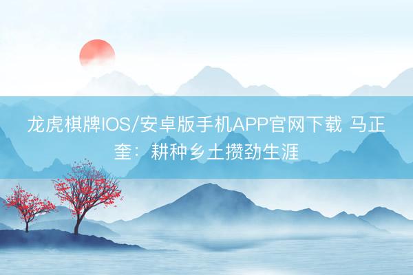 龙虎棋牌IOS/安卓版手机APP官网下载 马正奎：耕种乡土攒劲生涯