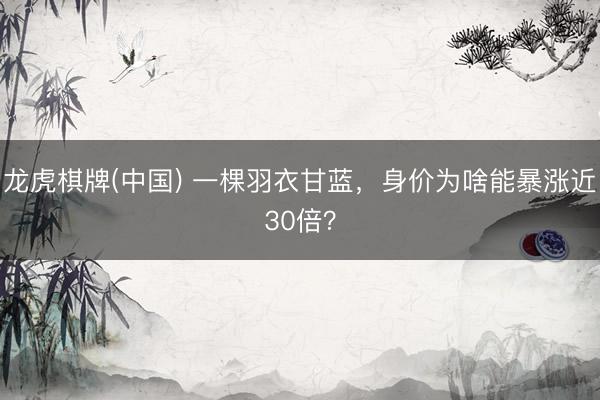 龙虎棋牌(中国) 一棵羽衣甘蓝，身价为啥能暴涨近30倍？